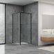Душова кабіна Dusel DL198B+DL196B Black Matt, 90х90х190, скло прозоре, двері розпашні 519892 фото 1