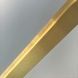 Душевая стенка DUSEL Walk-In WL172G Gold 1000*2000 (8мм) 172103 фото 6