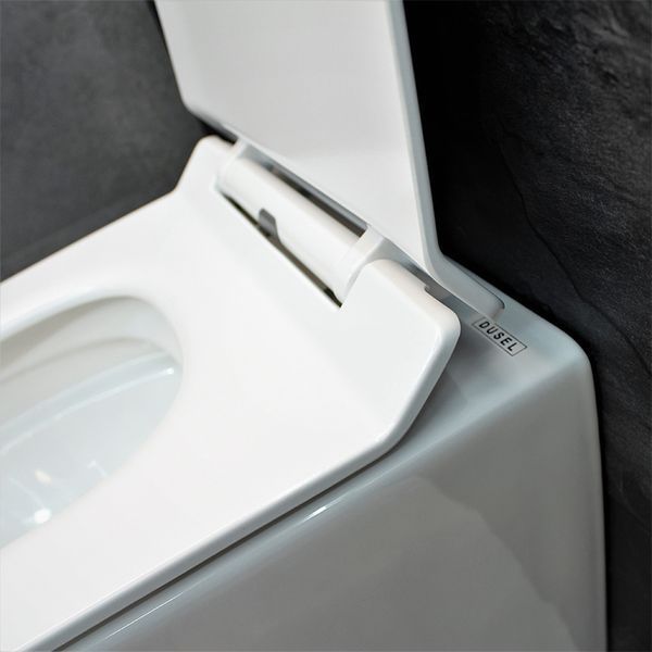 Унитаз DUSEL AREZ подвесной DWHT10210230R с сиденьем Soft Close дюропласт 802301 фото