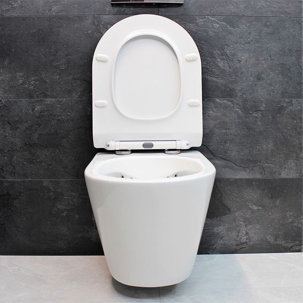 Унитаз DUSEL AREZ подвесной DWHT10210230R с сиденьем Soft Close дюропласт 802301 фото