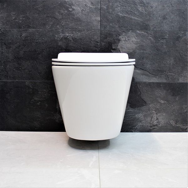 Унитаз DUSEL AREZ подвесной DWHT10210230R с сиденьем Soft Close дюропласт 802301 фото