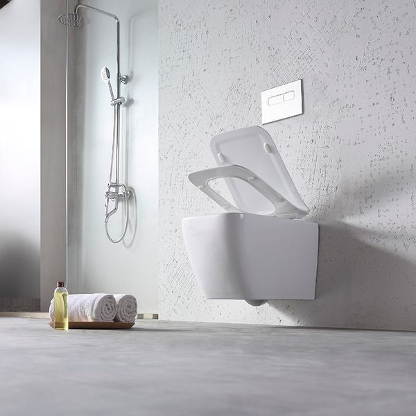 Унитаз DUSEL CUBIS подвесной DWHT10201030R с сиденьем Soft Close дюропласт 810301 фото