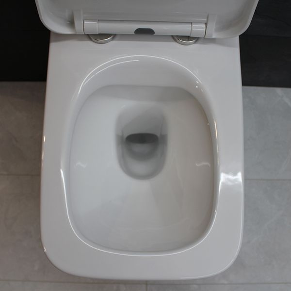 Унитаз DUSEL LUNAR подвесной DWHT10201530R с сиденьем Soft Close дюропласт 815301 фото