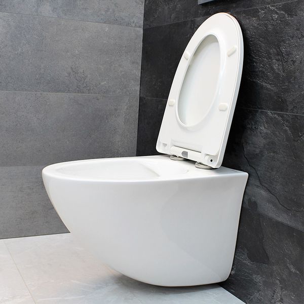 Унитаз DUSEL SENTIA подвесной DWHT10201630R с сиденьем Soft Close дюропласт 816301 фото