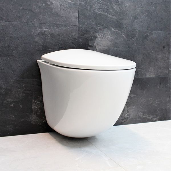 Унитаз DUSEL SENTIA подвесной DWHT10201630R с сиденьем Soft Close дюропласт 816301 фото