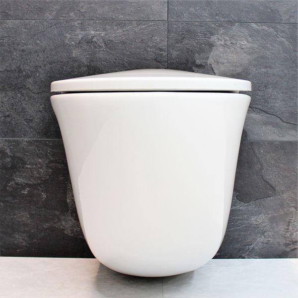 Унитаз DUSEL SENTIA подвесной DWHT10201630R с сиденьем Soft Close дюропласт 816301 фото