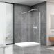 Душевая стенка DUSEL Walk-In WL171 Chrome 1000*2000 (8мм) 171100 фото 1