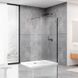 Душевая стенка DUSEL Walk-In WL171В Black Matt 1000*2000 (8мм) 171102 фото 1